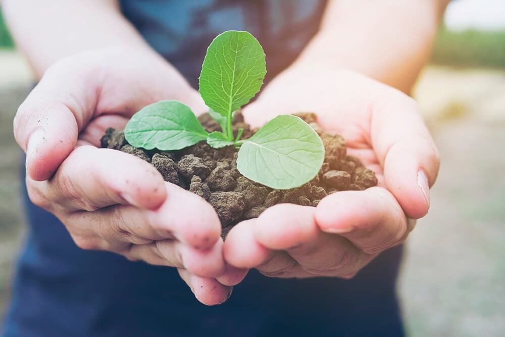 o-que-e-sustentabilidade